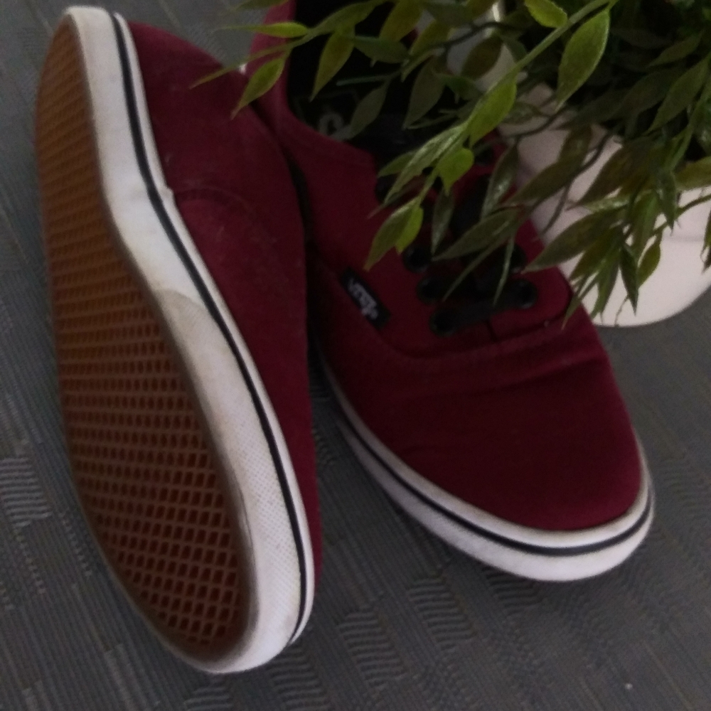 Vans shoes
